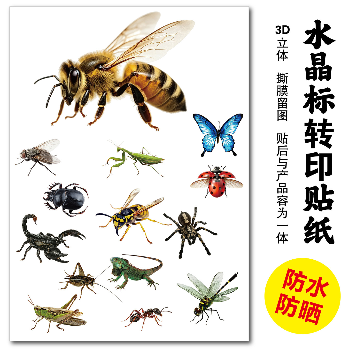水杯汽车装饰3D立体通用遮挡