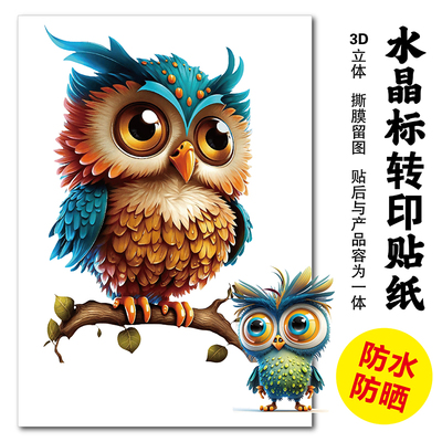 大眼猫头鹰图案3D立体防水贴画