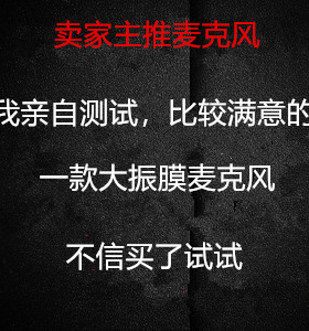 美国sE 2200 录音棚话筒编曲混音直播人声录制大振膜麦克风