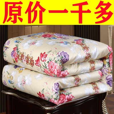 被子被芯加厚保暖冬被春秋被