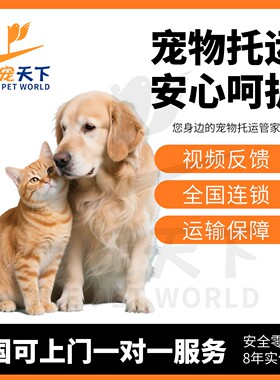 宠物托运服务全国空调专车保姆车运输猫狗服务