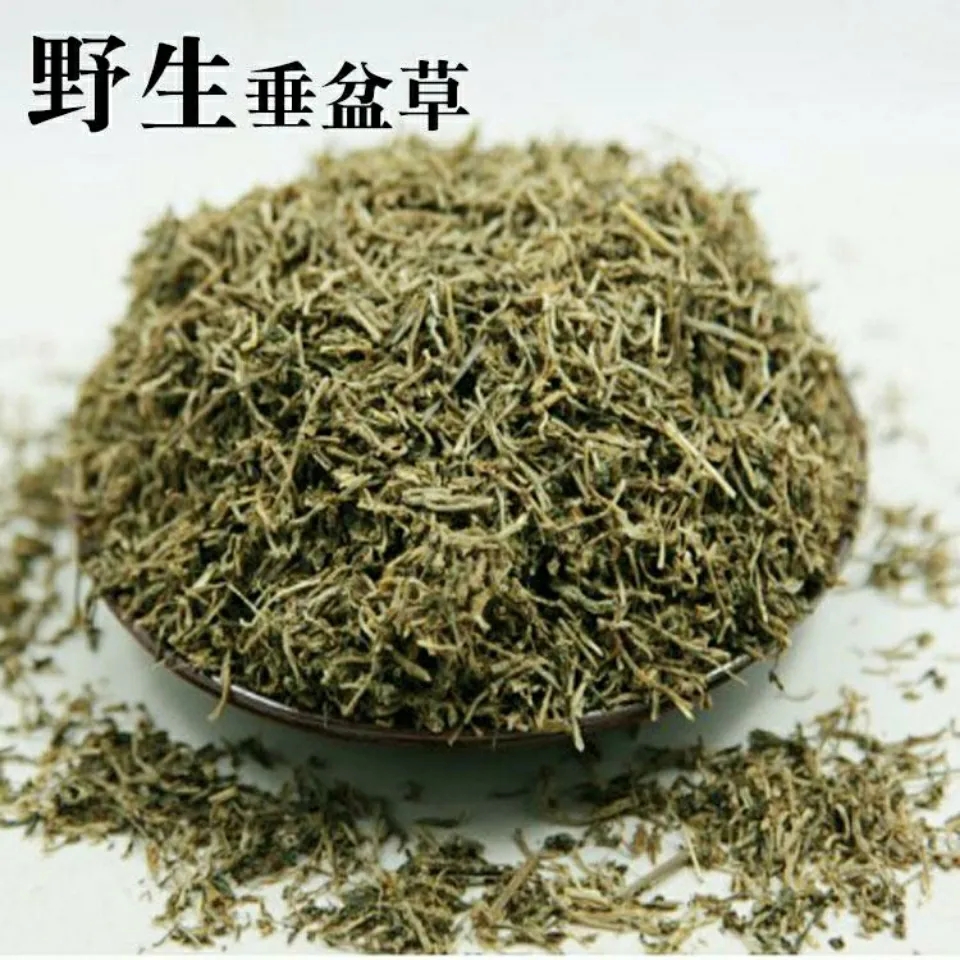 垂盆草 正品道地 新货 无硫 瓜子草、石指甲500g包邮