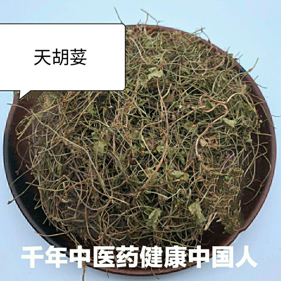 中药材天胡荽、满天星、地钱草、鸡肠菜、铺地锦、地钱草