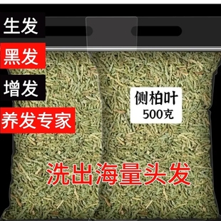 侧柏叶新鲜干柏树叶侧柏叶生发颗粒免煮干叶无硫500g包邮