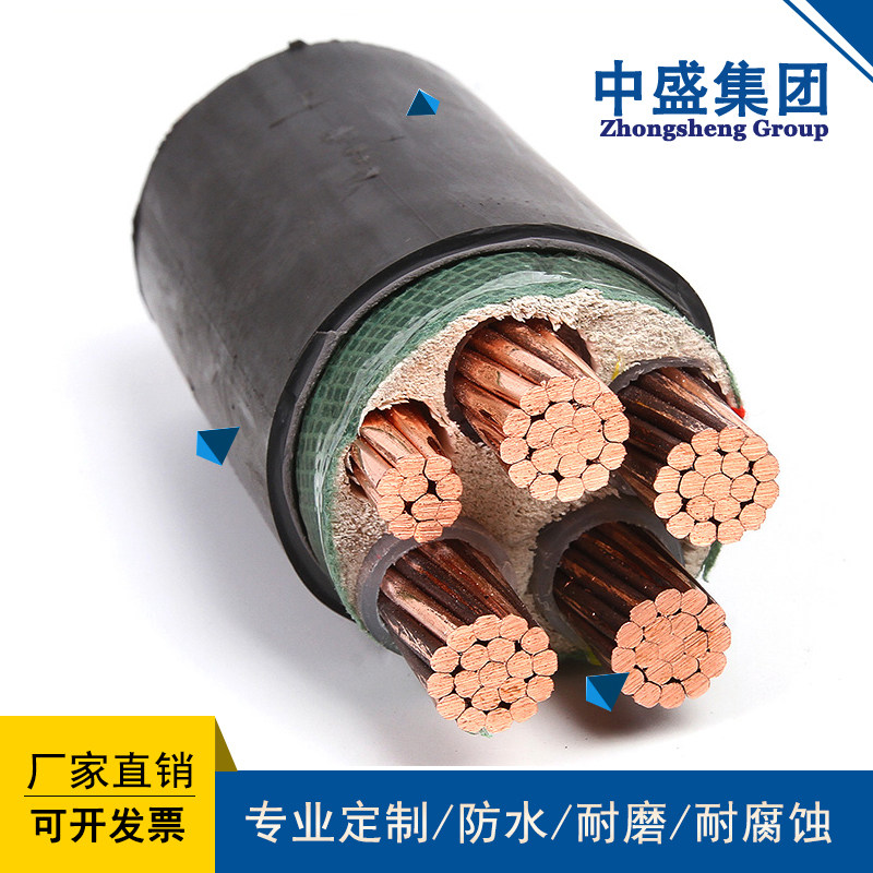 天长市中盛仪表电缆仪表信号电缆YVV 3*240+1*70