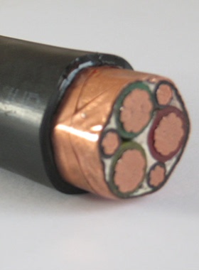 中盛铠装变频电缆变频器专用电缆阻燃ZR-BPYJVP2 3*4+3*0.75