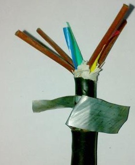 天长中盛电缆铝箔屏蔽钢带铠装计算机电缆DJVP3VP3-32 4*2*1.5