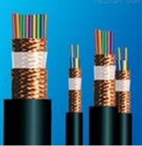 安徽天长市中盛电缆高温计算机电缆 DJFPFRP 2*2*1.5
