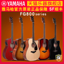 正品YAMAHA雅马哈FG800单板民谣电箱木吉他初学者学生男女41/40寸