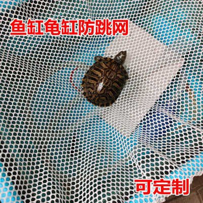 防逃网养龟箱子乌龟缸防逃逸越狱