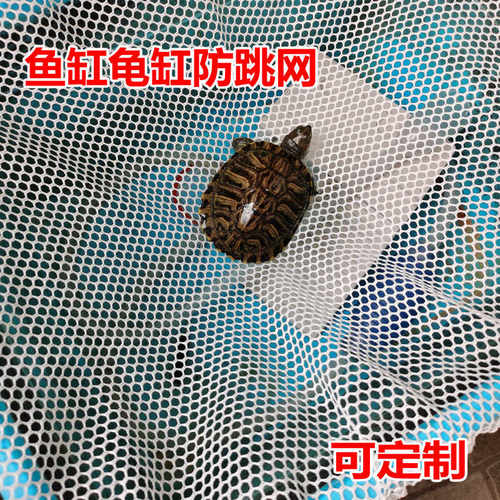 防逃网养龟箱子乌龟缸防逃逸越狱