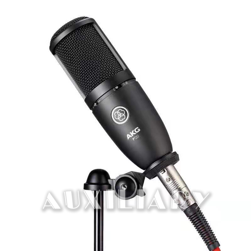 AKG/爱科技 P120+