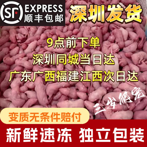 深圳刘三岁小白鼠饲料