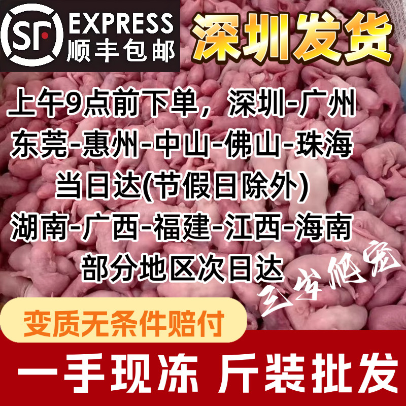深圳冷冻乳鼠红皮粉皮白霜乳鼠喂蛇冰冻小白鼠速冻新鲜无菌1斤装