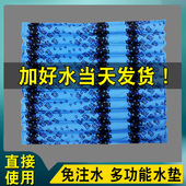 免注水冰垫水垫降温坐垫防水老人水坐垫屁股床上护理冰凉水袋床垫