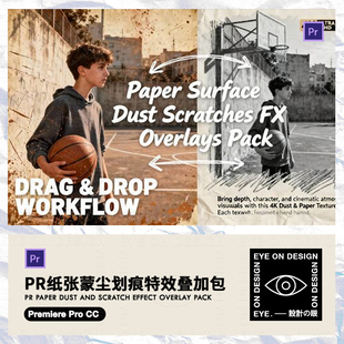 PR模板复古胶片纸张灰尘褶皱蒙尘划痕视频滤镜叠加自媒体素材特效