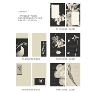 soii手帐分装|ClipClick 5款A6 fc内页《翩翩》双面不同图