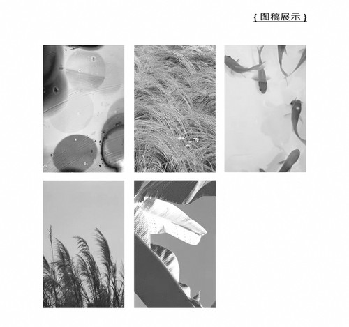 soii手帐分装|APeachHoney 5款内页M5《情绪收藏家》双面未打孔