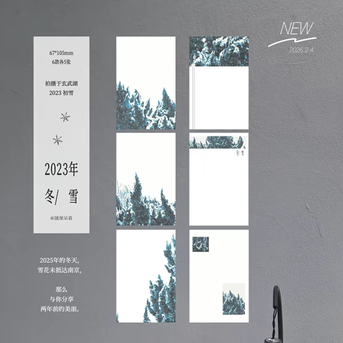 soii手帐分装|随便呆着 6款m5便签《冬雪》