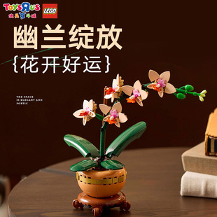 玩具反斗城乐高拼装积木典雅兰花束男女生日礼物送礼积木花束玩具