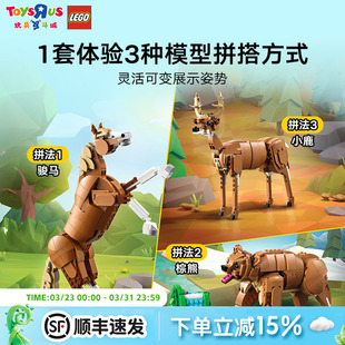 LEGO乐高创意3合1系列31166骏马男女孩儿童益智拼装积木玩具礼物