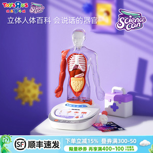 科学罐头人体解剖模型器官可拆卸教学我们的身体语音百科益智学历