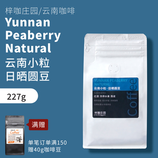 梓咖庄园新鲜烘焙云南小圆豆日晒处理云南小粒咖啡手冲咖啡豆227g