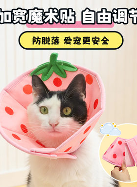 脖圈猫咪狗绝育圈防护项圈
