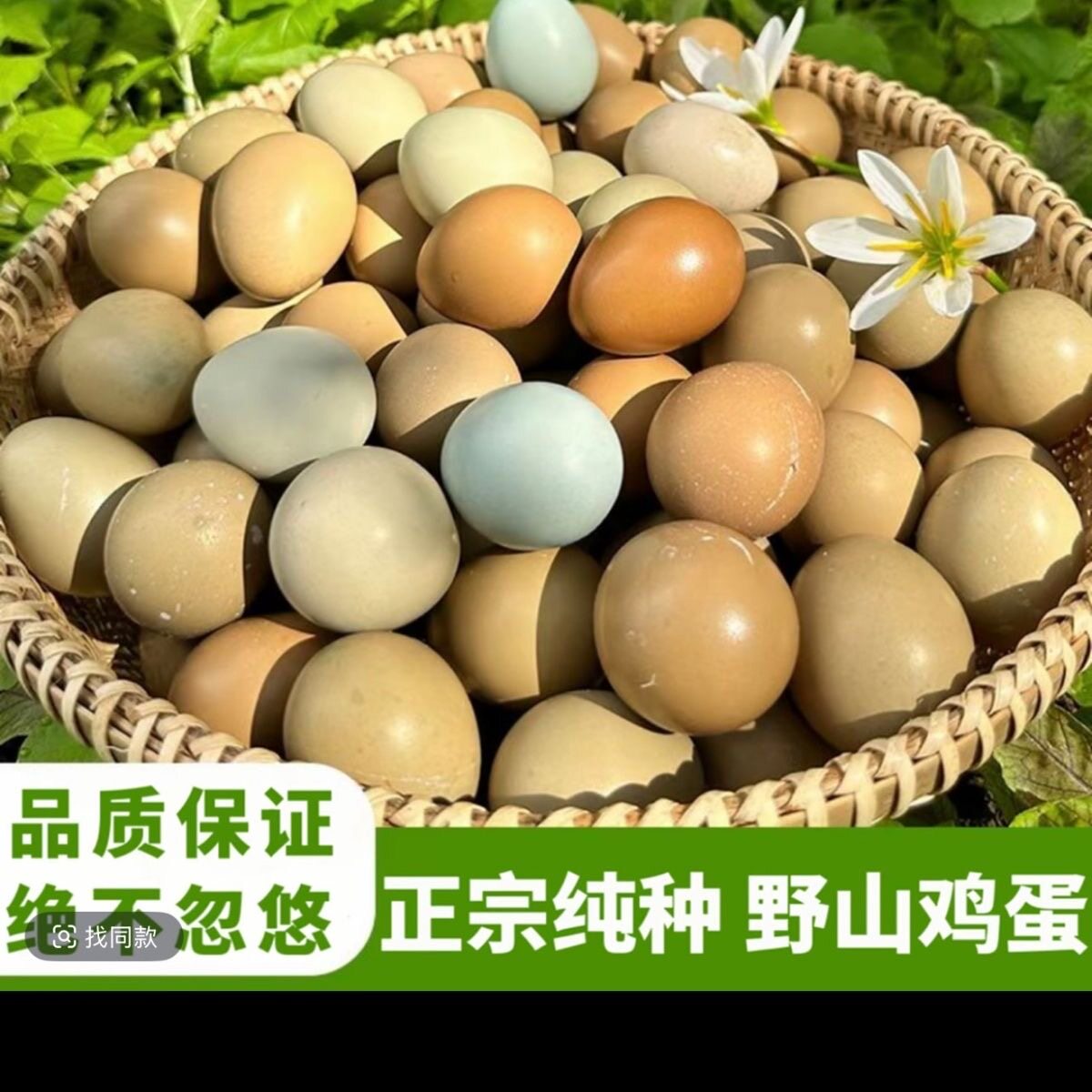 鸡蛋 山鸡蛋七彩鸡蛋宝贝必须补品 七彩山鸡蛋 30枚 60枚包邮到家