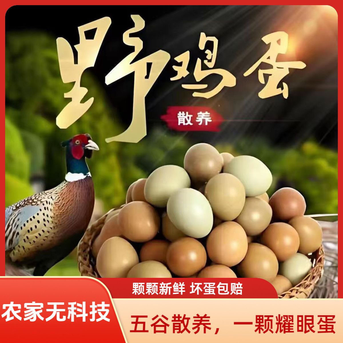 鸡蛋 山鸡蛋七彩鸡蛋宝贝必须补品 七彩山鸡蛋 30枚 60枚包邮到家