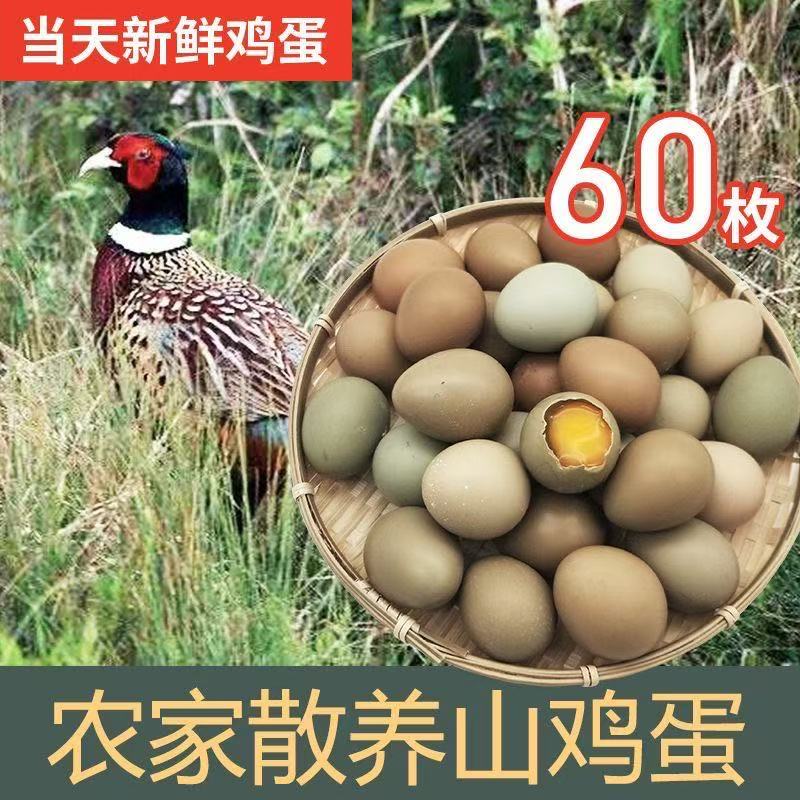 鸡蛋 山鸡蛋七彩鸡蛋宝贝必须补品 七彩山鸡蛋 30枚 60枚包邮到家