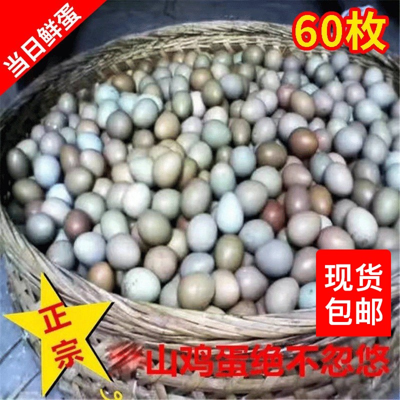 鸡蛋 山鸡蛋七彩鸡蛋宝贝必须补品 七彩山鸡蛋 30枚 60枚包邮到家
