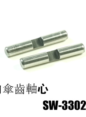 SWORKz  SW-330279 S104系列差速內傘齒軸心