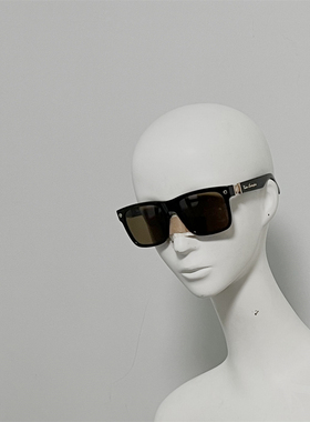 TL545 奢品太阳镜 意产定制板材墨镜 做工复杂 25年新款 样板孤品