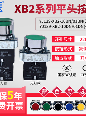 一佳平头复位按钮YJ139-XB2-10BN/01BN带灯开关DN红绿黄色24V220V