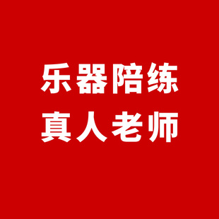 乐器在线真人一对一陪练吉他钢琴小提琴二胡古筝唱歌学习监督练习