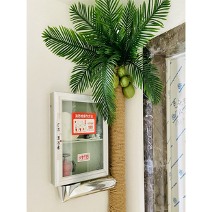 包室内外下水管道遮挡装饰美化排水消防管仿真椰子树叶假包装材料