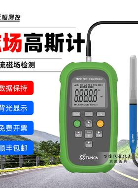 天恒高斯计TM5120B交直流磁铁剩磁磁场磁力检测仪手持特斯拉计