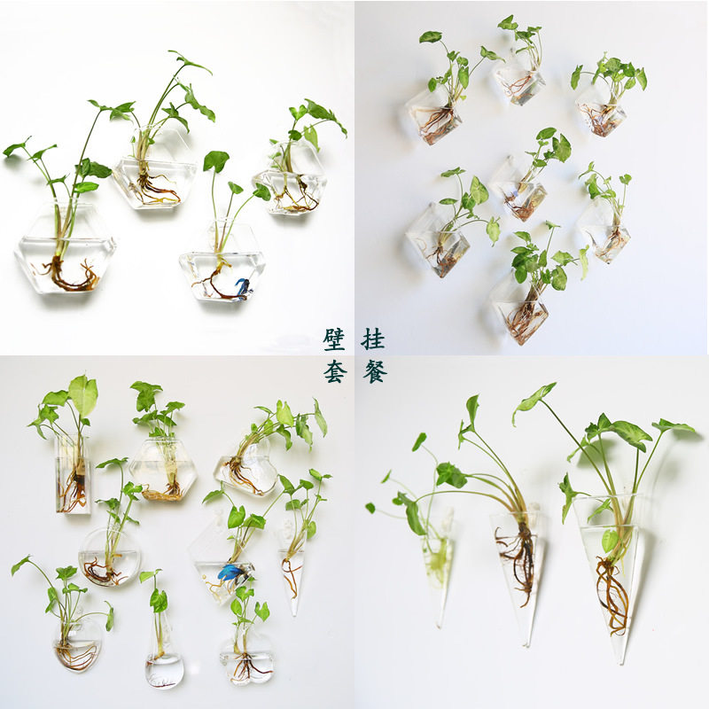 挂壁式花瓶悬挂式墙壁创意壁挂花瓶透明玻璃水培花瓶花盆家居饰品