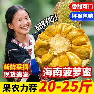 海南菠萝蜜一整个干苞新鲜大果现摘三亚保亭特产一整个大菠萝蜜