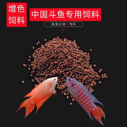普叉中国斗鱼增红饲料专用鱼苗观赏鱼粮鱼料高蛋白小颗粒鳑鲏鱼食