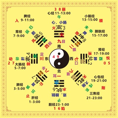 人体五行生克阴阳太极八卦图