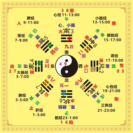 人体五行生克阴阳太极八卦图 易经中医养生知识文化贴 装饰贴