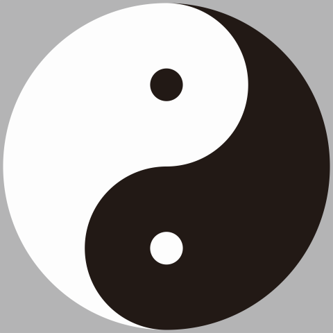 相生相克此长彼消 阴阳太极双鱼图贴纸 太极哲理图贴 玄关 装饰贴