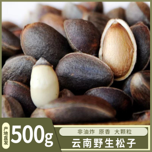 云南野生松子新鲜孕妇坚果薄皮大粒2斤不开口松仔