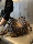 Высококачественная пригородная сумка-биг-бэг bucket bag female 2025, новый стиль, популярная в этом году женская портативная сумка-мессенджер на одно плечо, тренд mini 2