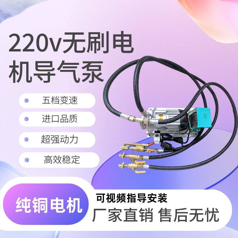 新款220伏家用五档可调液化气导气泵220伏丙烷高压充气泵导气泵