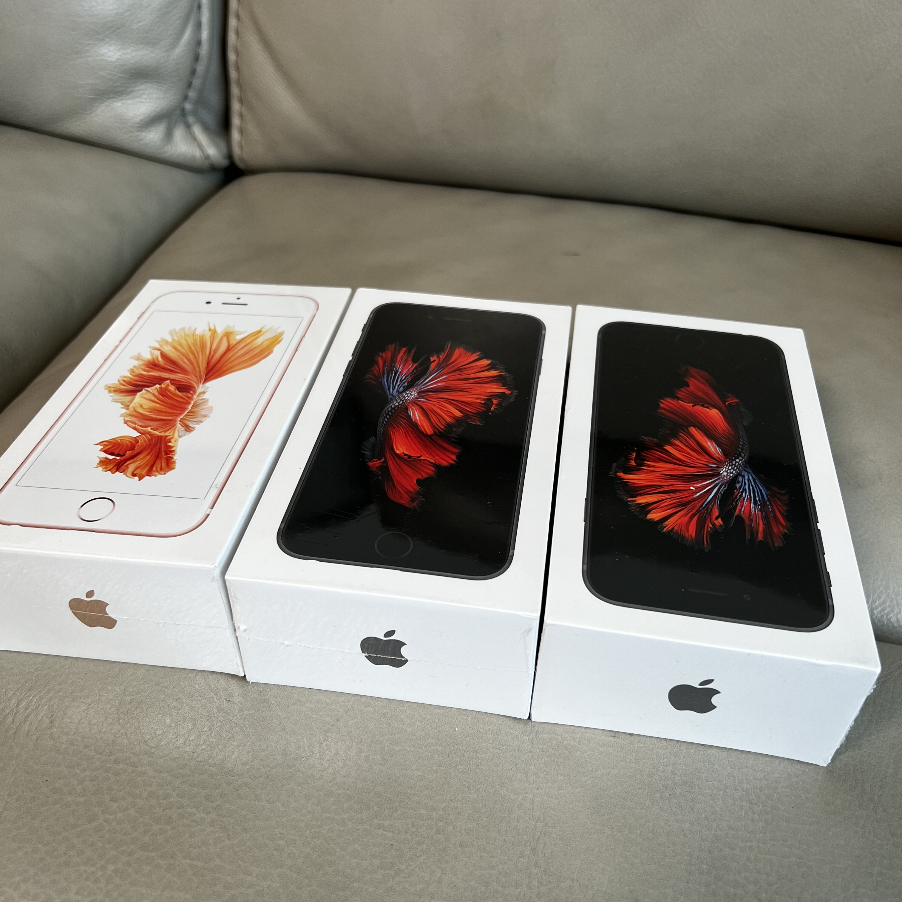 全新原封苹果 Apple 6s 6代无锁三网老系统官方未激活