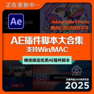 AE插件脚本大合集中文版调色光效磨皮动画MG效果一键安装WIN\MAC