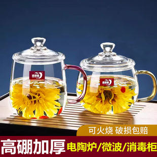 可加热高硼硅玻璃杯茶杯高颜值喝水杯子带盖男女养生花茶杯可加热